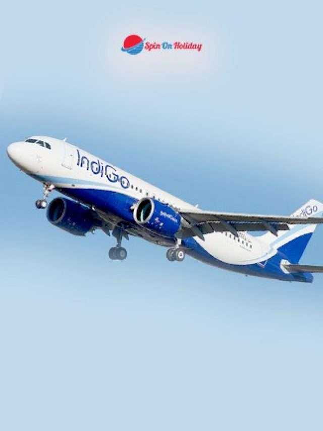 Delhi to Goa  Flight