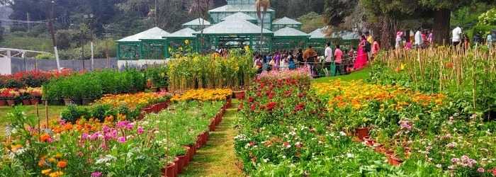 Ooty Botanical Gardens | Top 5 Ooty Places To Visit 