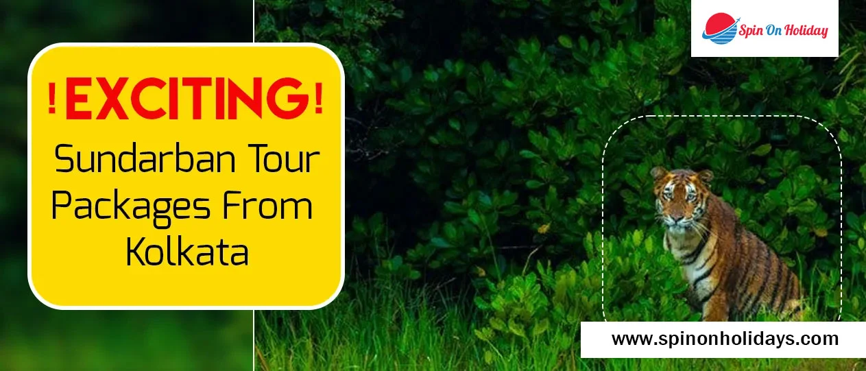 Sundarban Tour Packages From Kolkata
