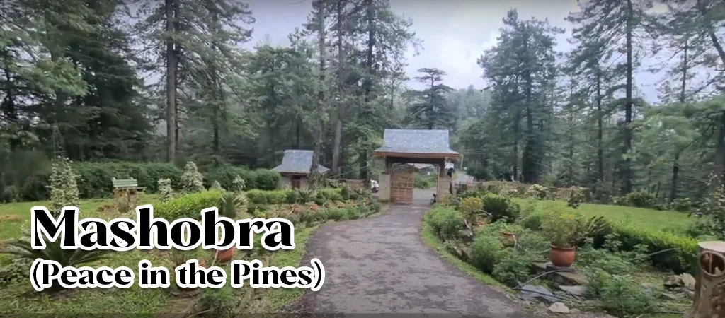 Mashobra Attractions – Nature Park & Talai Kali Temple